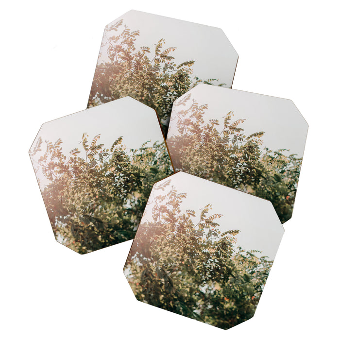 Whisperings Coaster Gallery Image 1