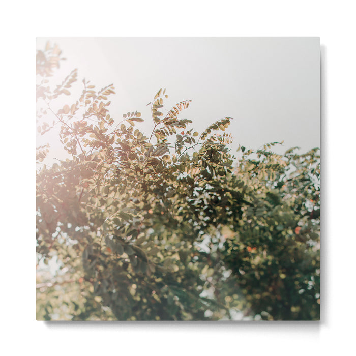 Whisperings Metal Print Gallery Image 1