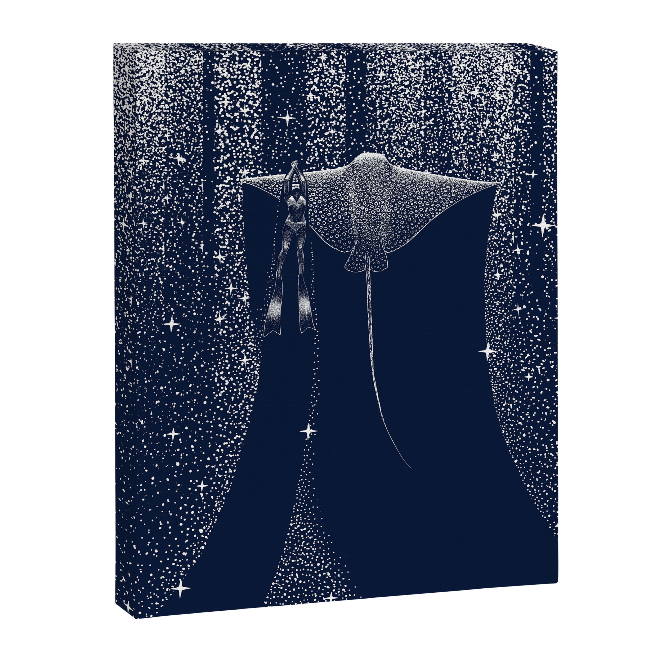 Star Collector And Diver Ver 2.0 Canvas Print Gallery Image 8