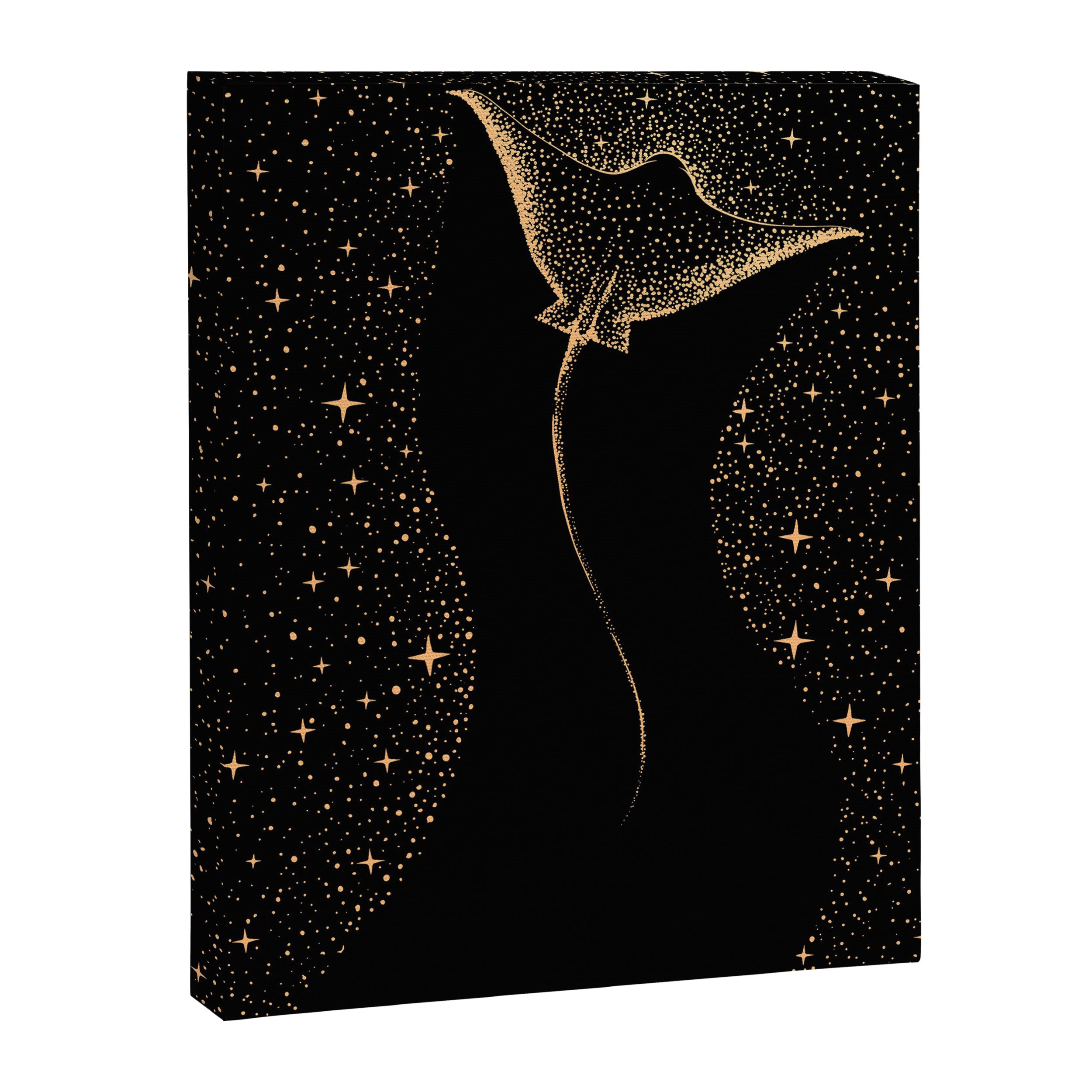 Star Collector Dark GOLD Version Canvas Print Gallery Image 8
