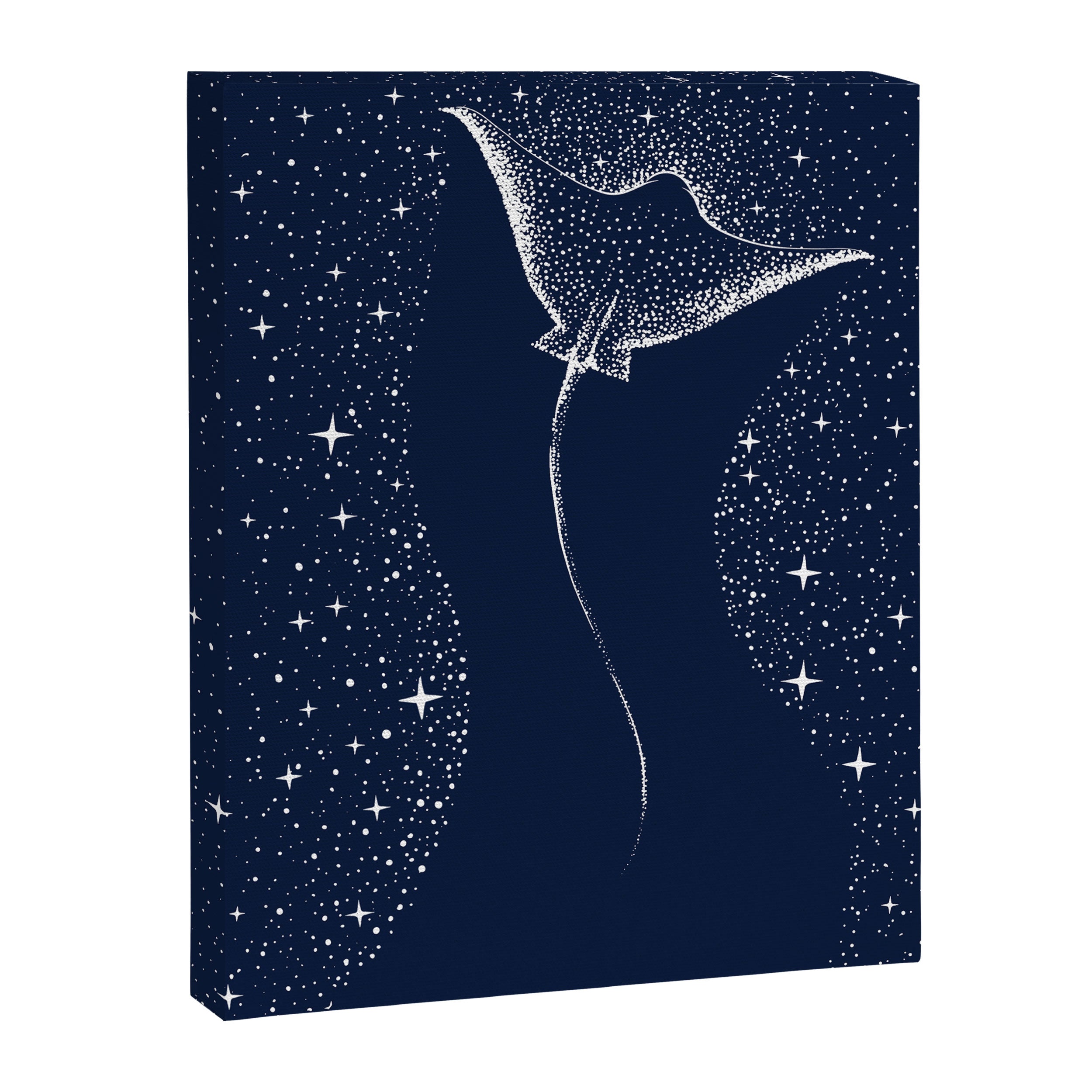 Star Collector Canvas Print Gallery Image 8