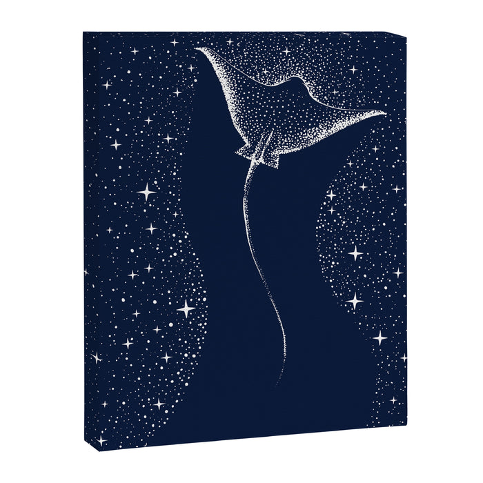 Star Collector Canvas Print Gallery Image 1