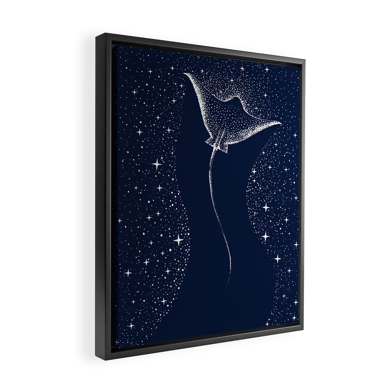 Star Collector Framed Canvas Print Gallery Image 2