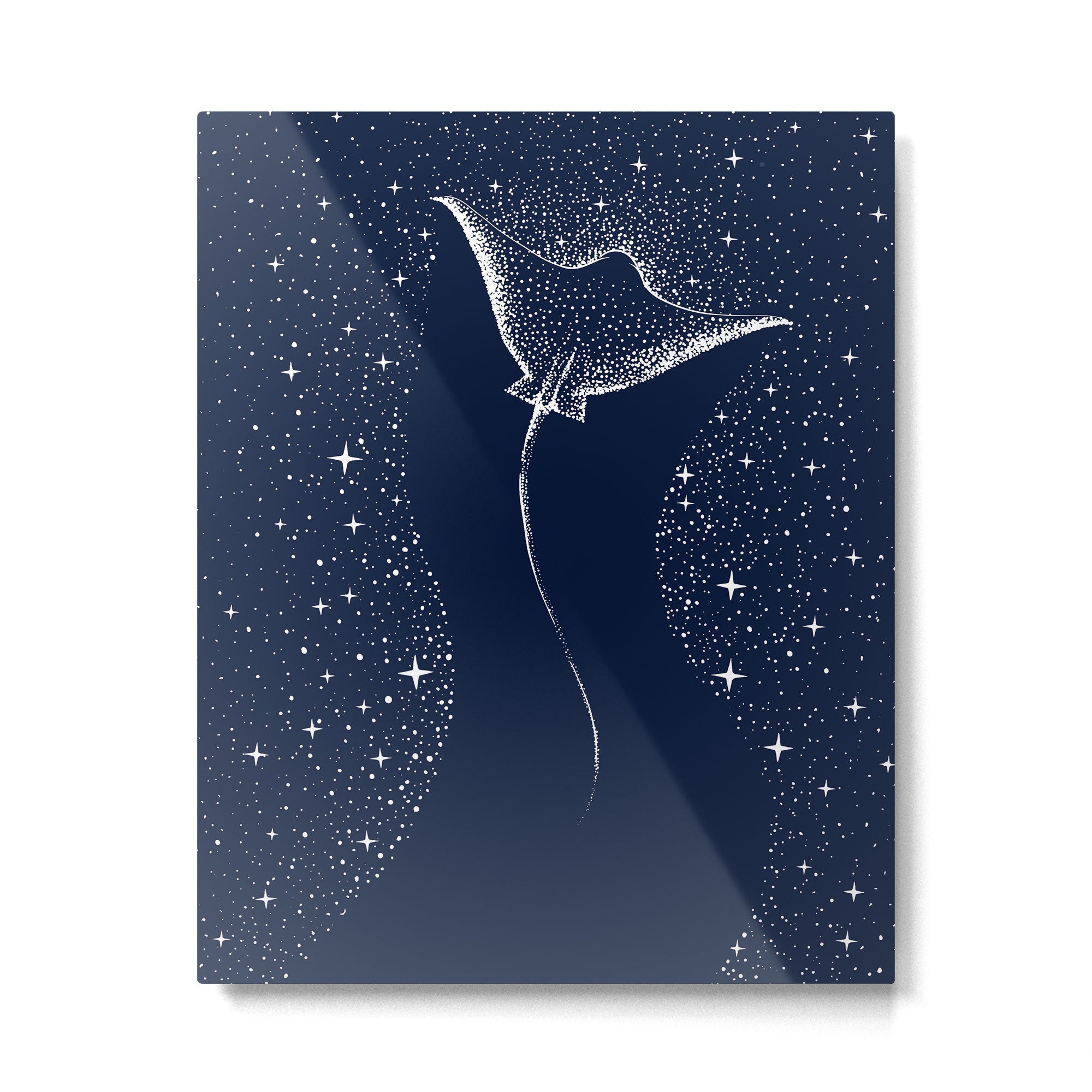Star Collector Metal Print Gallery Image 6