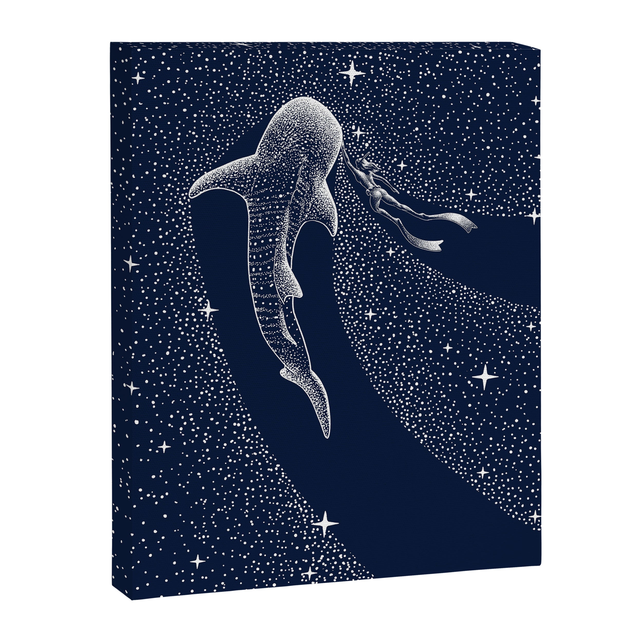 Star Eater And Diver Canvas Print Gallery Image 8