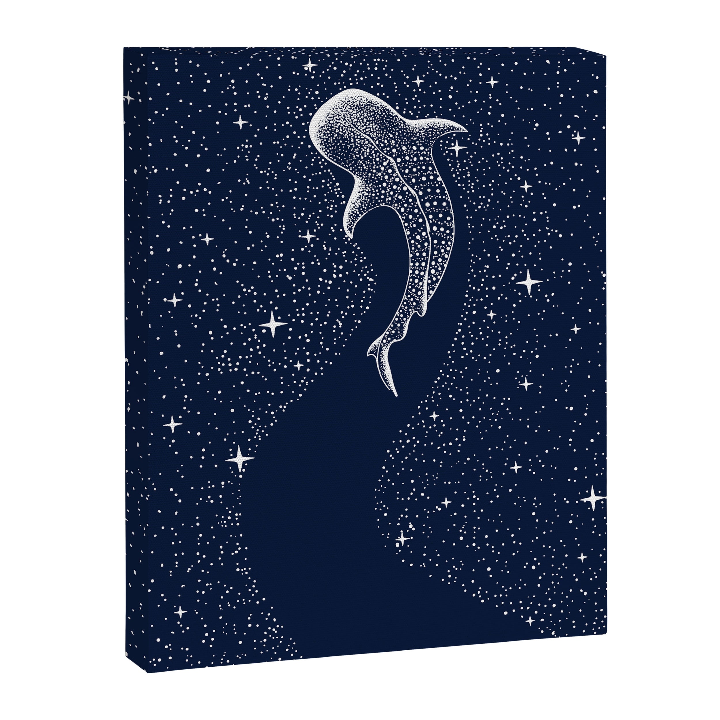 Star Eater Canvas Print Gallery Image 3