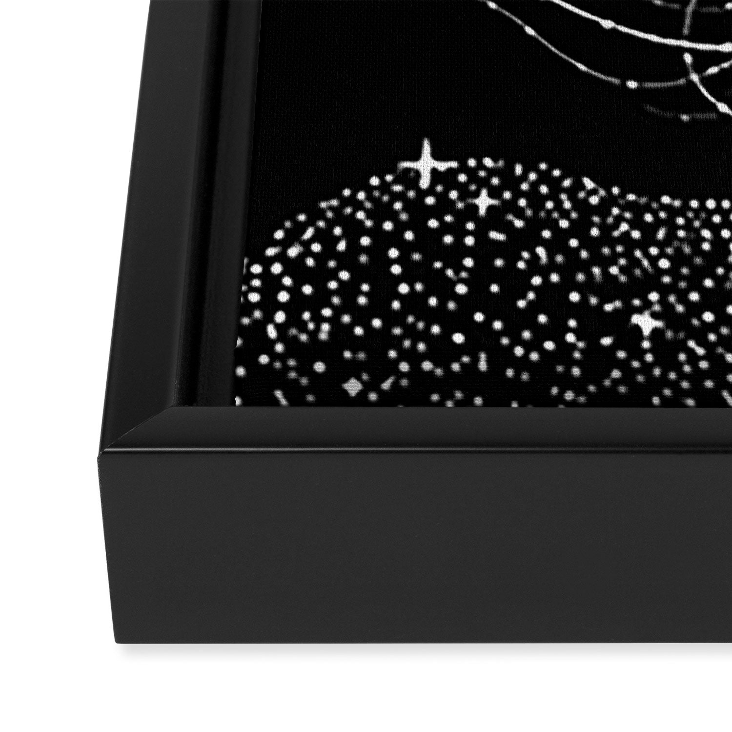 starry jellyfish (Black Version) Framed Canvas Print Gallery Image 3