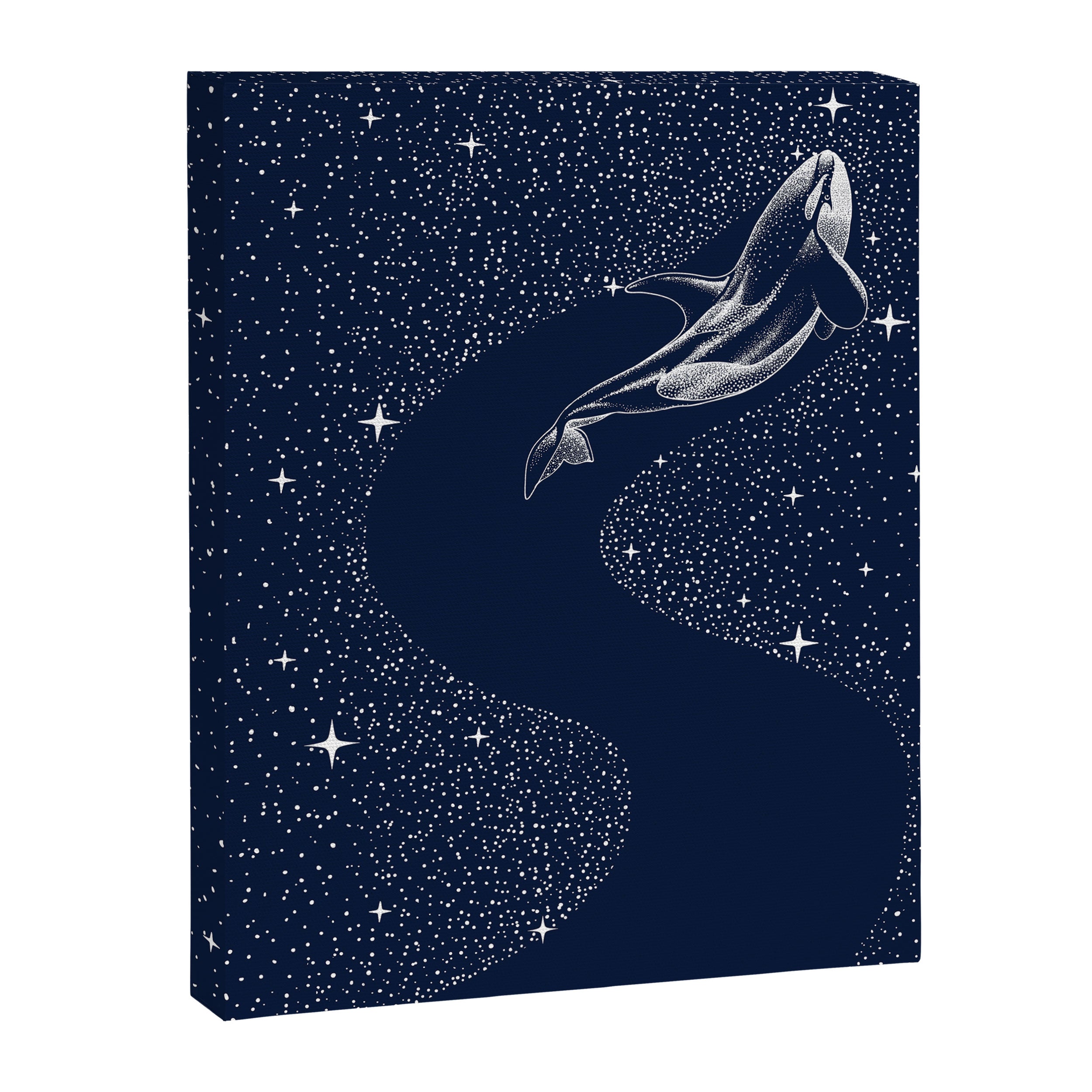 starry orca Canvas Print Gallery Image 8