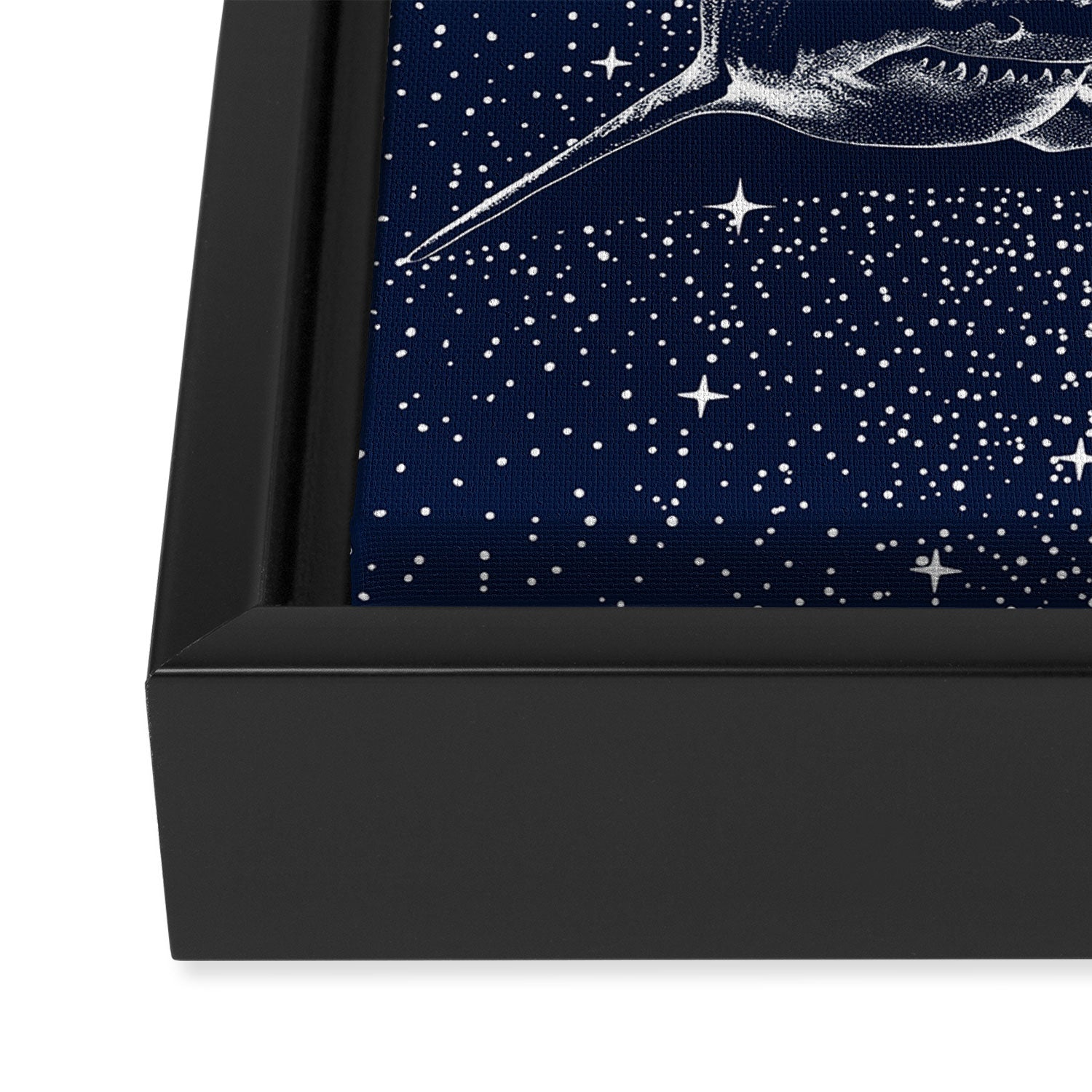 Starry Shark Framed Canvas Print Gallery Image 3