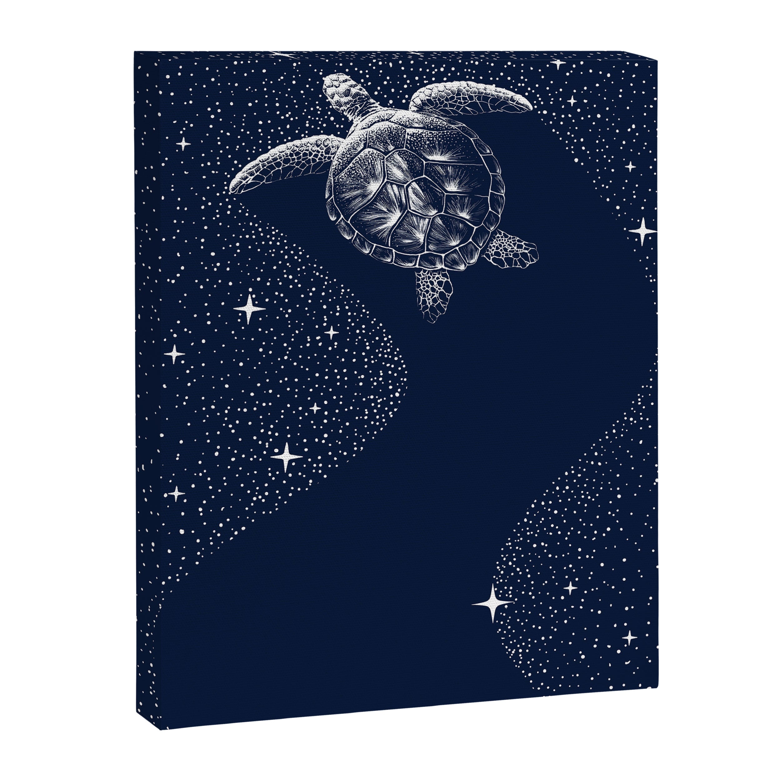 Starry Turtle Canvas Print Gallery Image 8