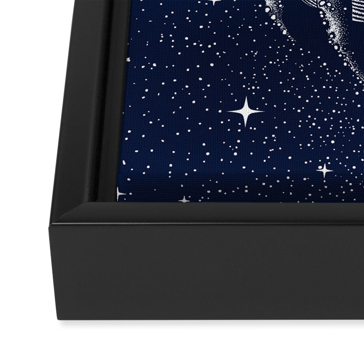 starry whale Framed Canvas Print Gallery Image 3