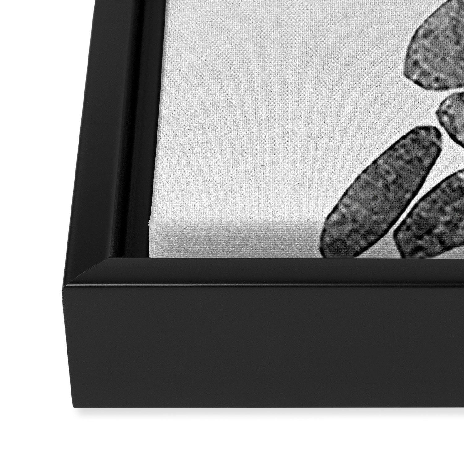 Balancing / Gray on White Framed Canvas Print Gallery Image 3
