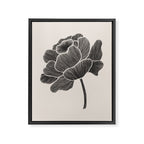 Black Peony I Framed Canvas Print Gallery Image 6