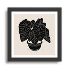 Black & White Plants / Elephant Ear Framed Art Print Gallery Image 1