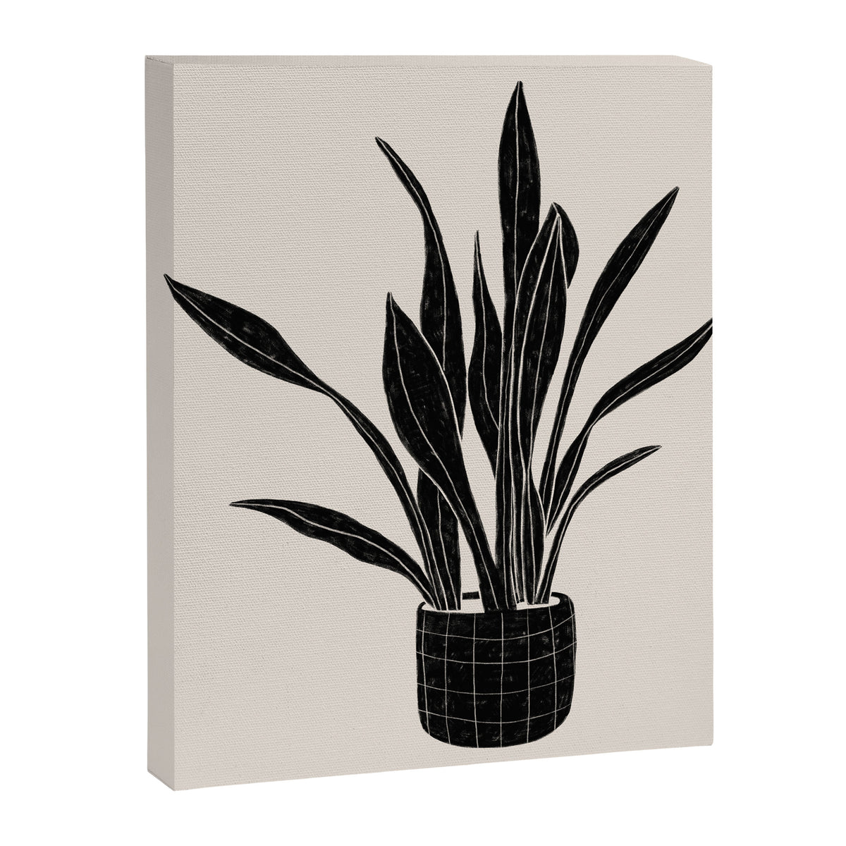 Black & White Plants / Snake Plant Canvas Print Gallery Image 8