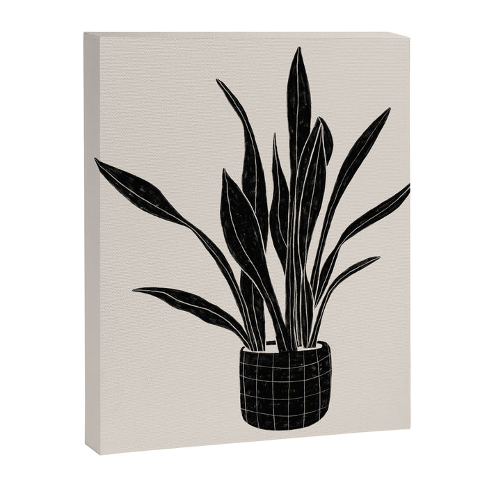 Black & White Plants / Snake Plant Canvas Print Gallery Image 1