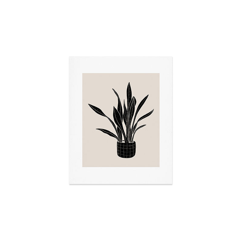 Black & White Plants / Snake Plant Art Print Gallery Image 1