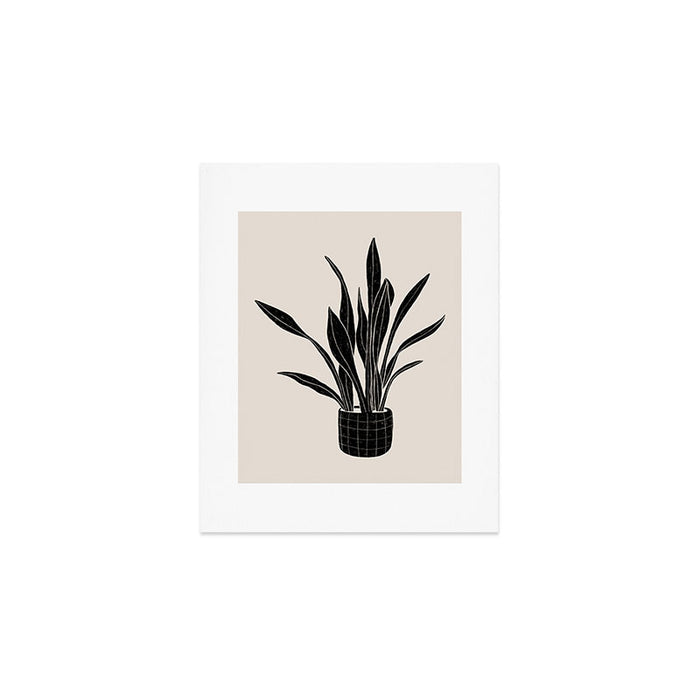 Black & White Plants / Snake Plant Art Print Gallery Image 1