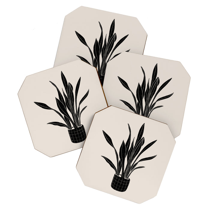 Black & White Plants / Snake Plant Coaster Gallery Image 1