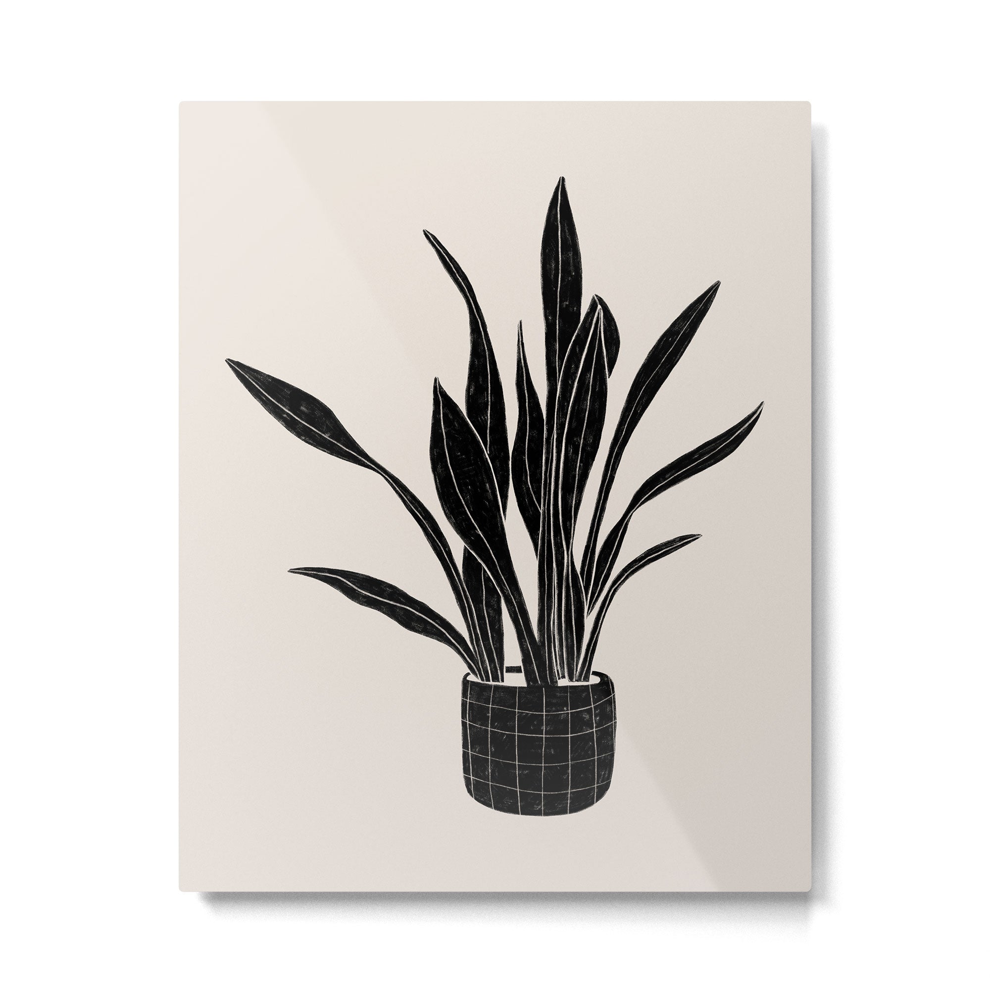 Black & White Plants / Snake Plant Metal Print Gallery Image 6