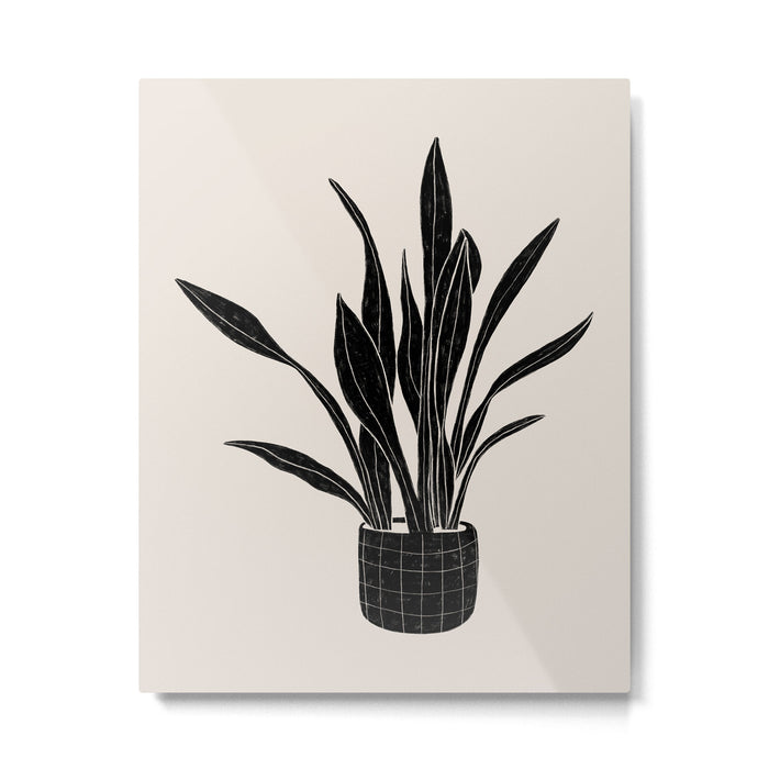 Black & White Plants / Snake Plant Metal Print Gallery Image 1
