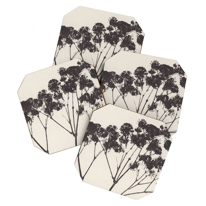 Blooms of Gypsophila #1 Coaster Gallery Image 1
