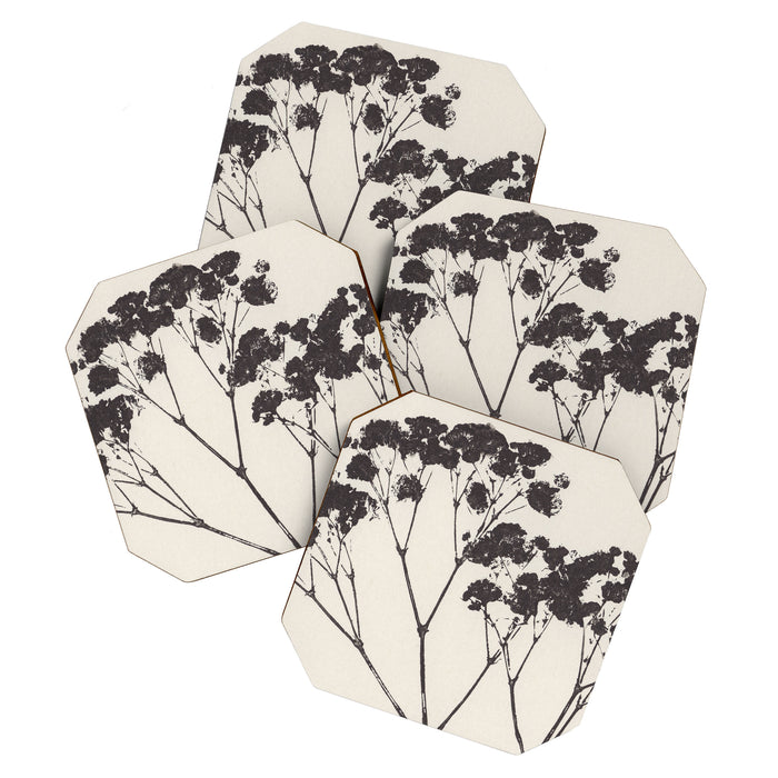 Blooms of Gypsophila #2 Coaster Gallery Image 1