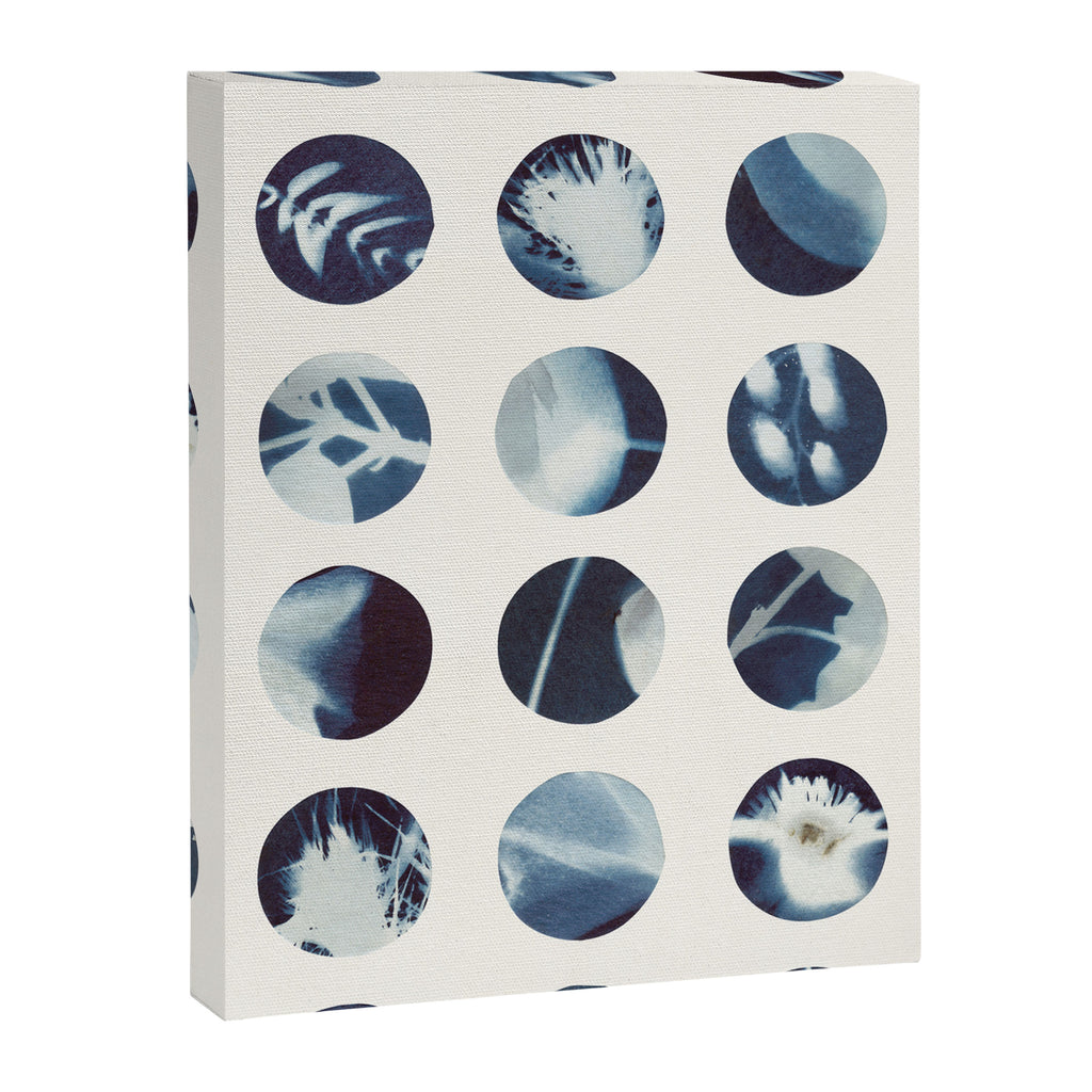 Botanical Cyanotypes Canvas Print Gallery Image 8