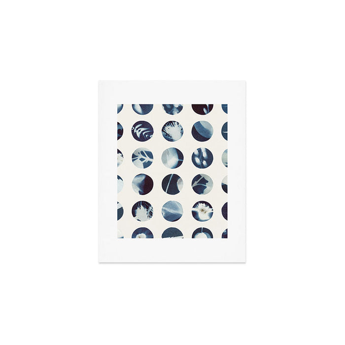 Botanical Cyanotypes Art Print Gallery Image 1