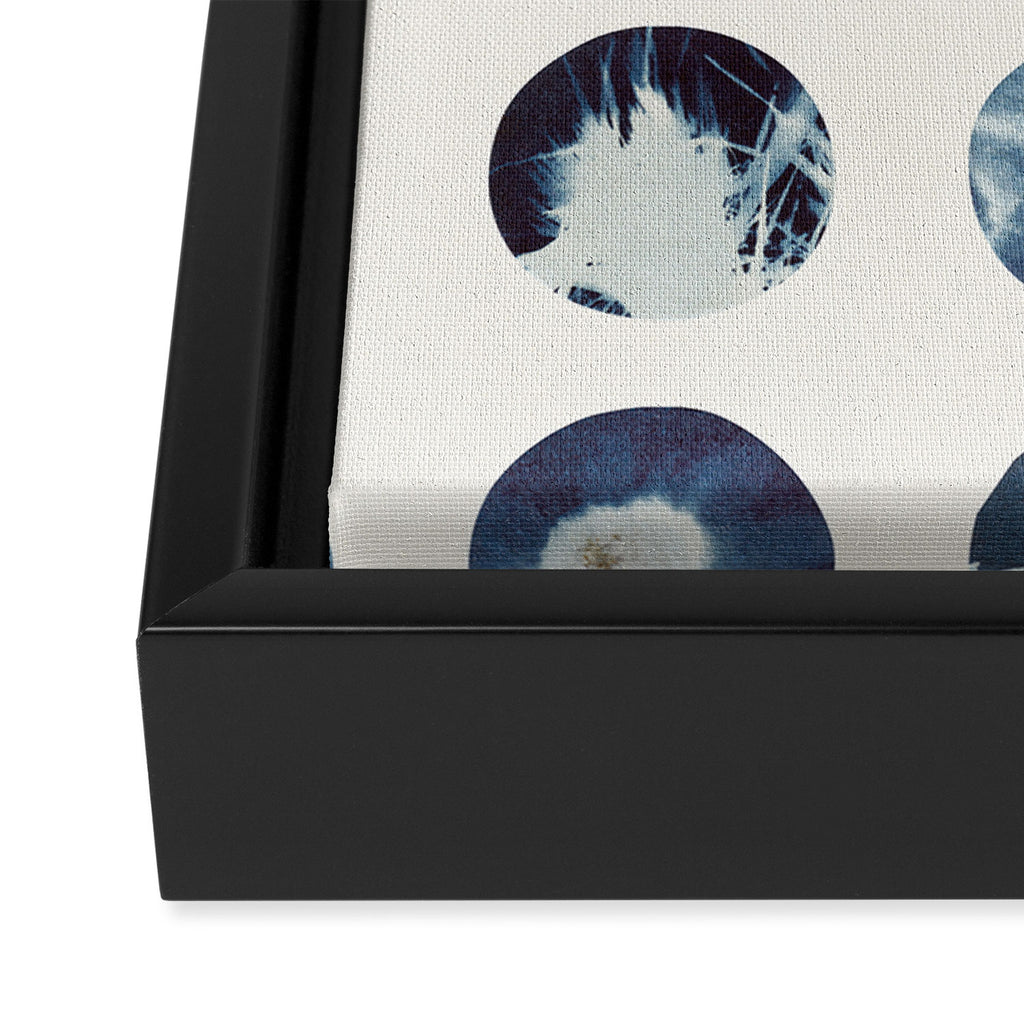 Botanical Cyanotypes Framed Canvas Print Gallery Image 3