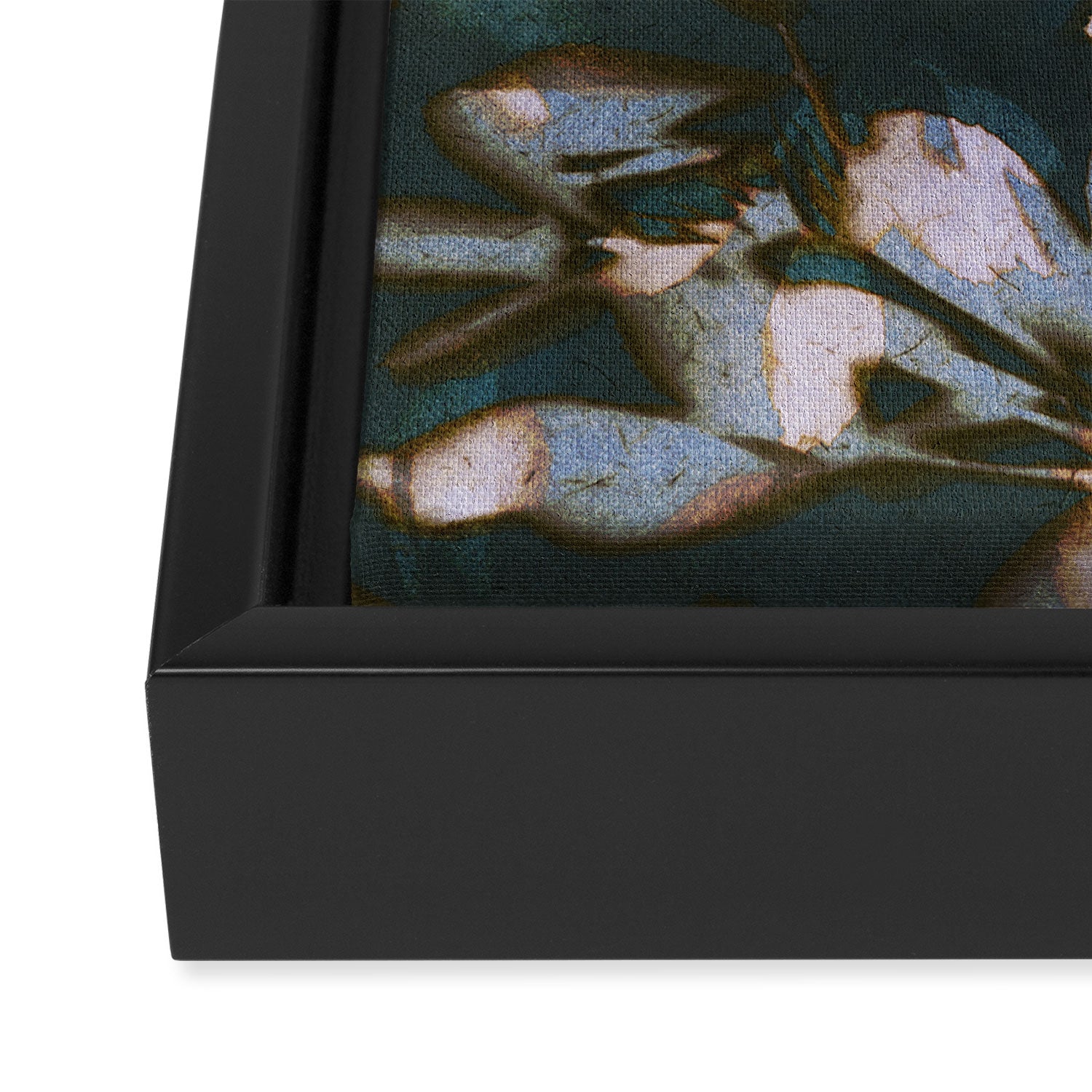 Botanical Shadows #3 Framed Canvas Print Gallery Image 3