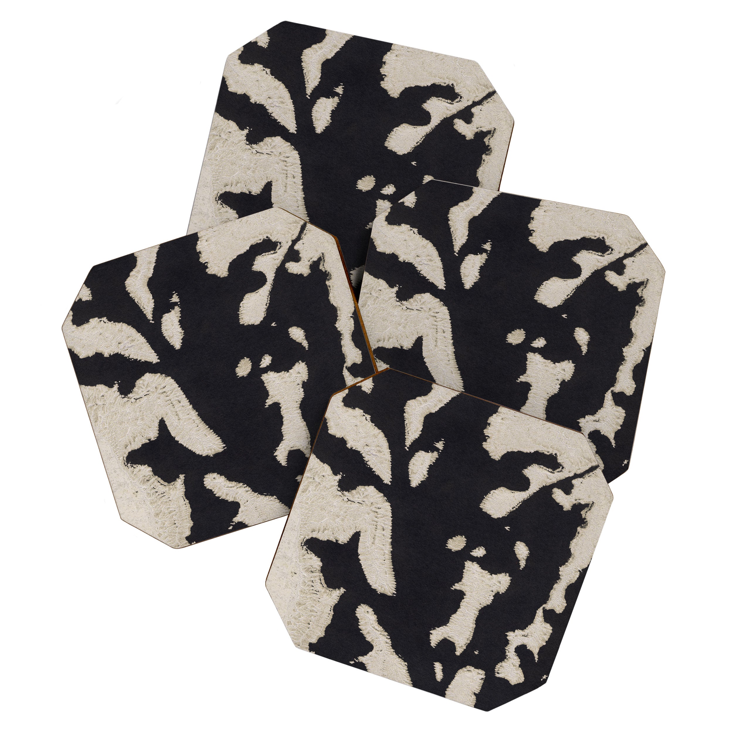 Botanical Shadows Coaster Gallery Image 1