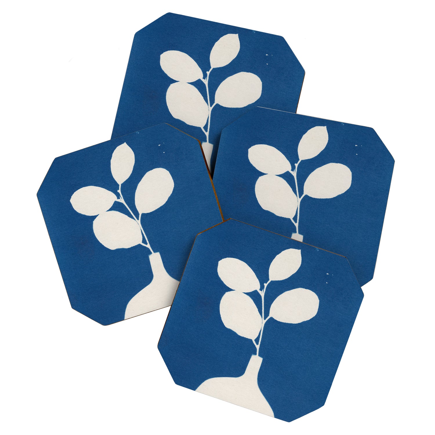 Cyanotype Still Life Studies #2 Coaster Gallery Image 1