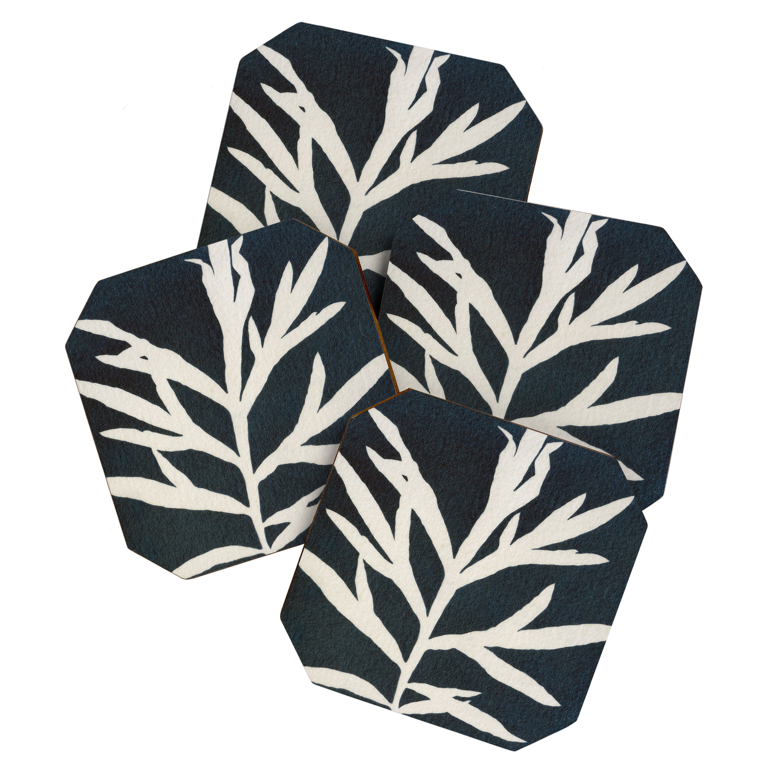 Cyanotype Still Life Studies #3 Coaster Gallery Image 1