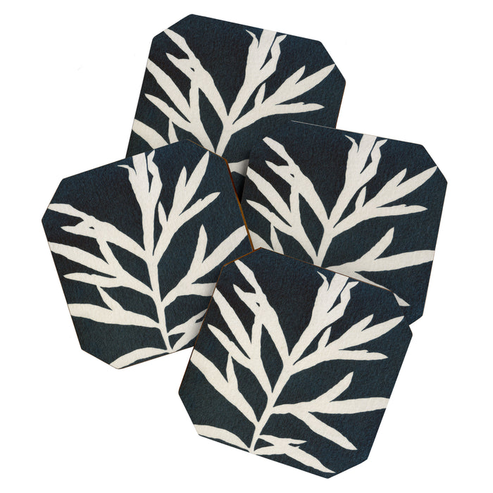 Cyanotype Still Life Studies #3 Coaster Gallery Image 1