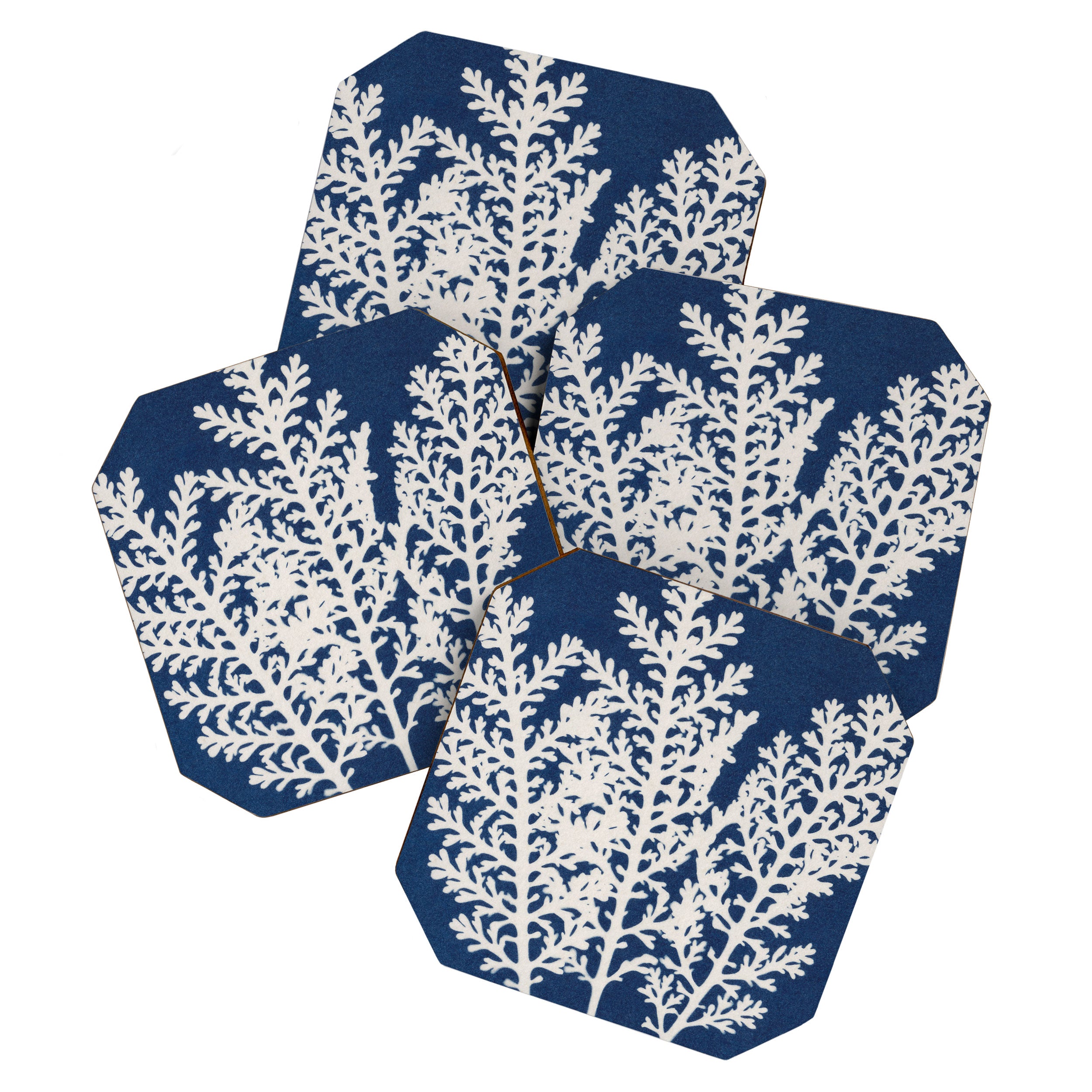 Cyanotype Still Life Studies #4 Coaster Gallery Image 1