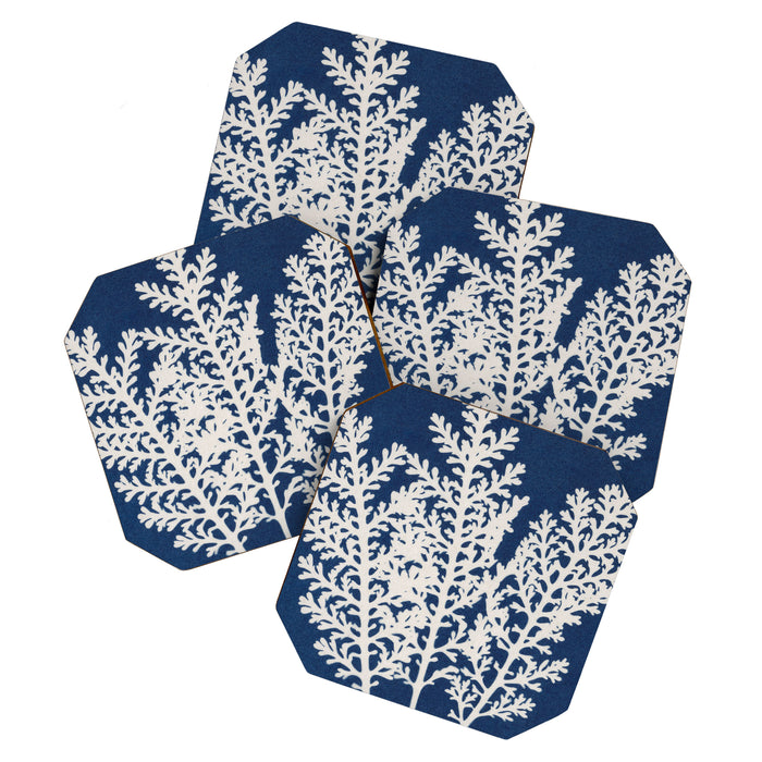 Cyanotype Still Life Studies #4 Coaster Gallery Image 1