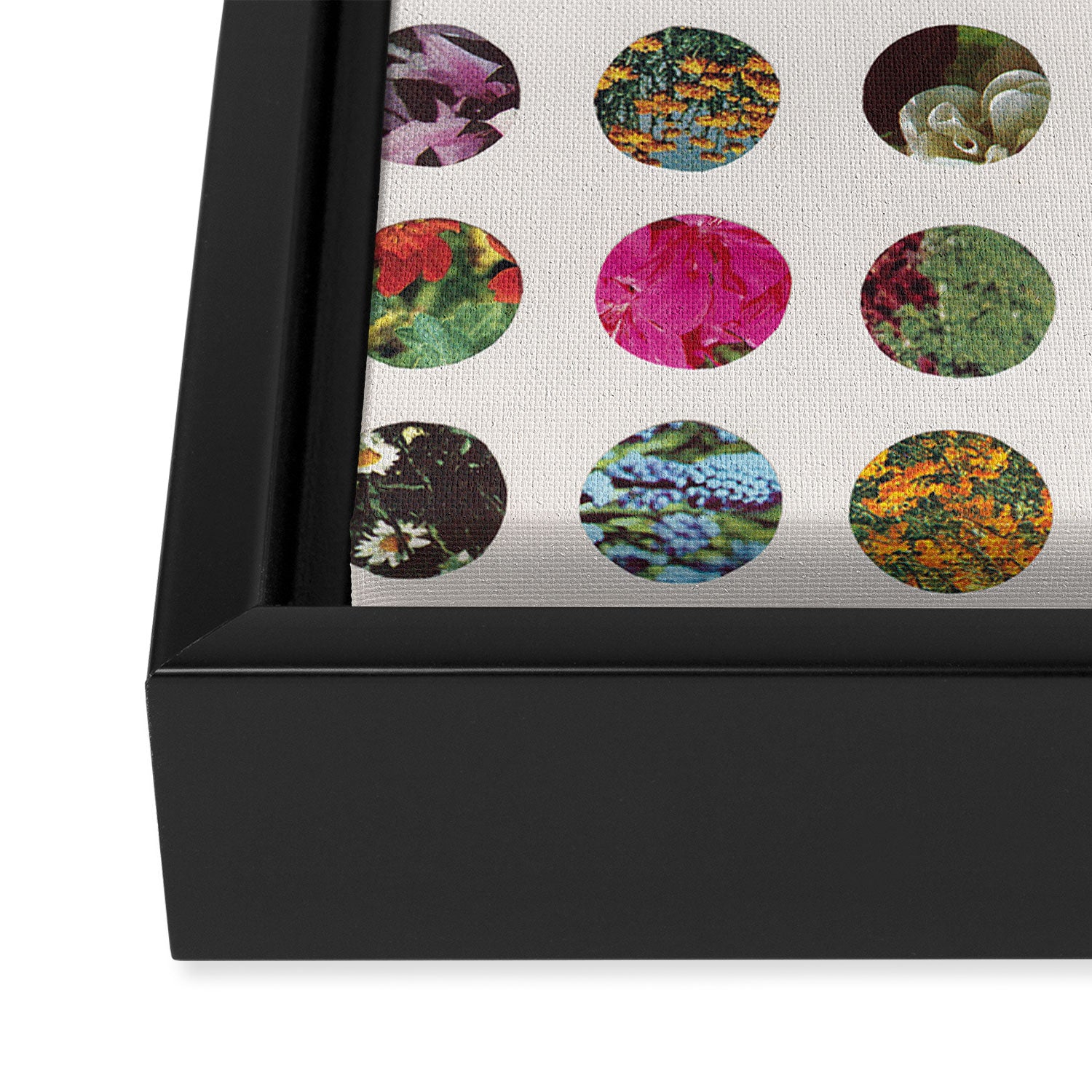 Floral Circles / Paper Pattern Framed Canvas Print Gallery Image 3