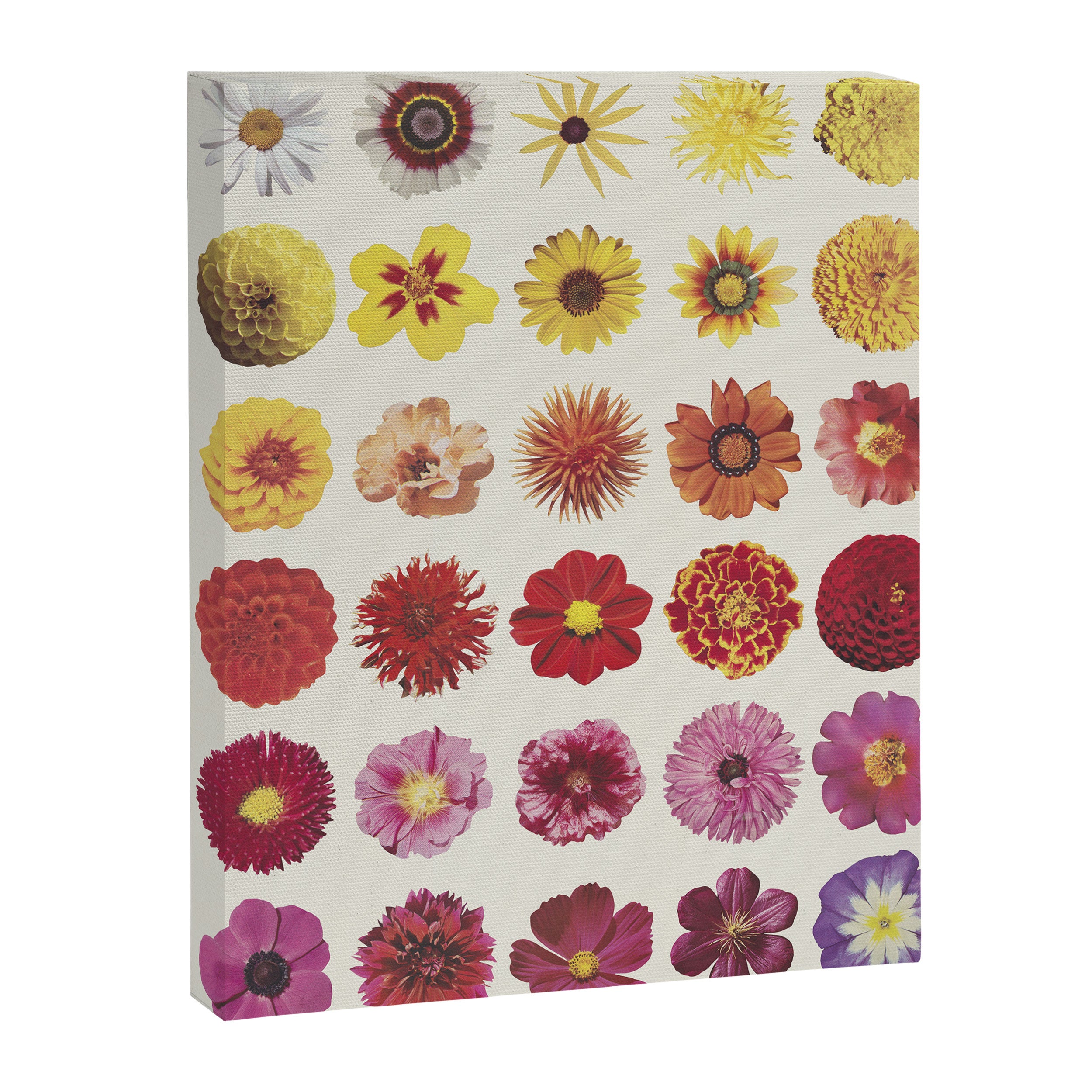 Floral Palette / Beige Background Canvas Print Gallery Image 8