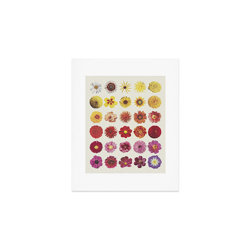 Floral Palette / Beige Background Art Print Gallery Image 1