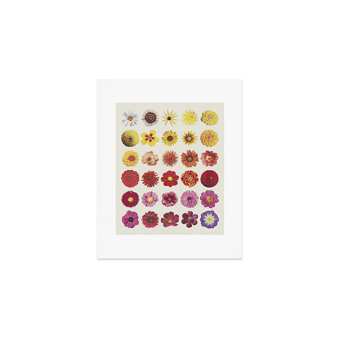 Floral Palette / Beige Background Art Print Gallery Image 1