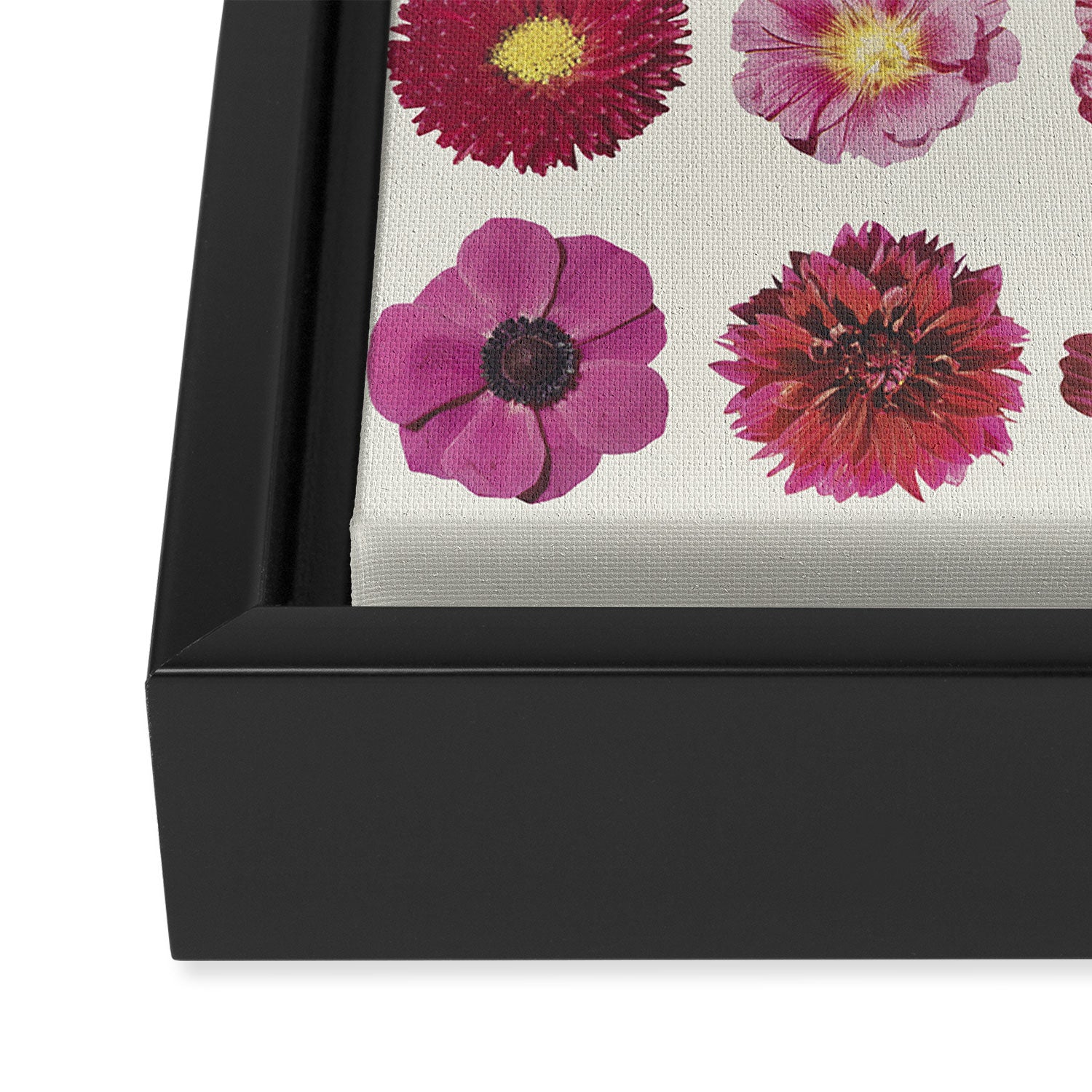 Floral Palette / Beige Background Framed Canvas Print Gallery Image 3