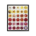 Floral Palette / Beige Background Framed Canvas Print Gallery Image 8
