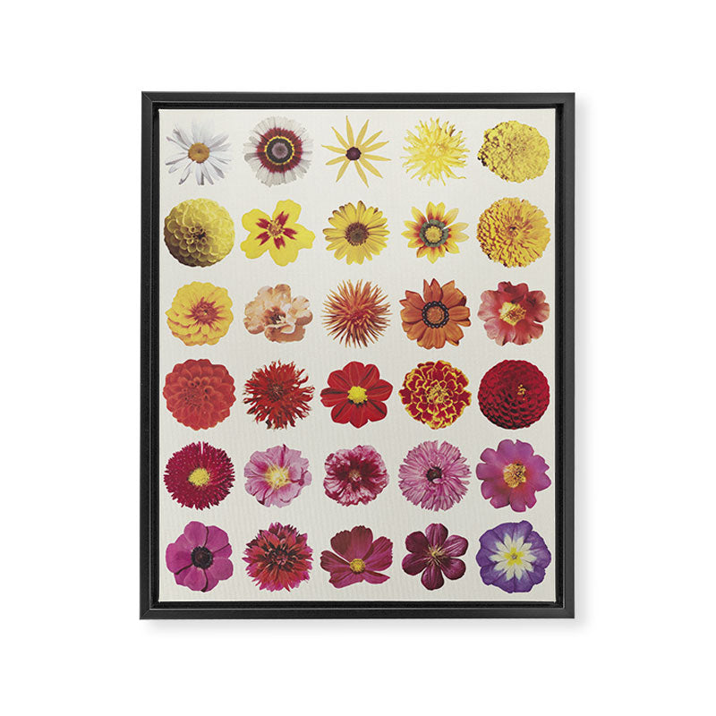 Floral Palette / Beige Background Framed Canvas Print Gallery Image 8
