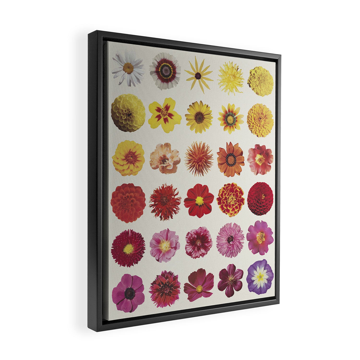Floral Palette / Beige Background Framed Canvas Print Gallery Image 2