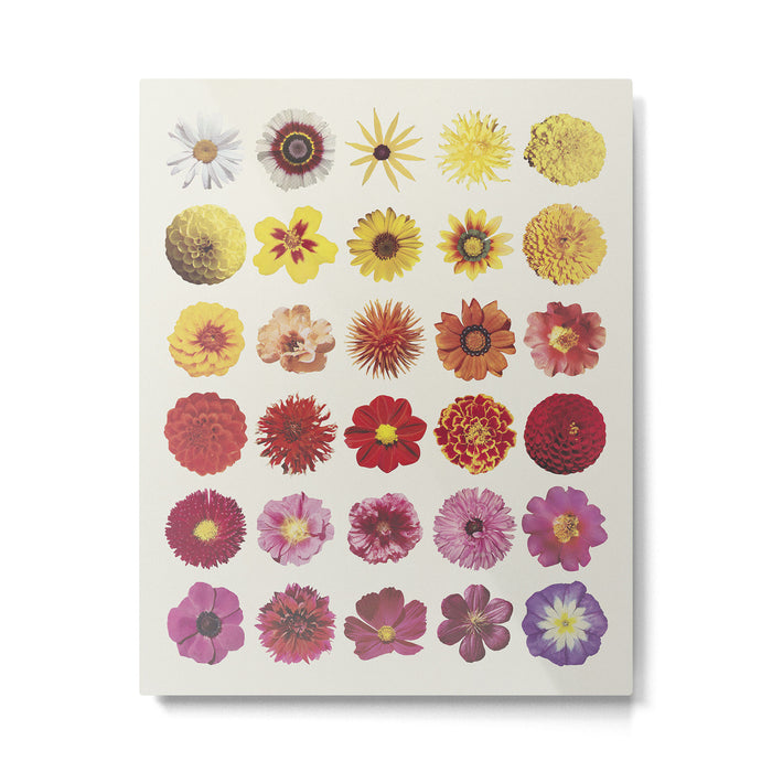 Floral Palette / Beige Background Metal Print Gallery Image 1