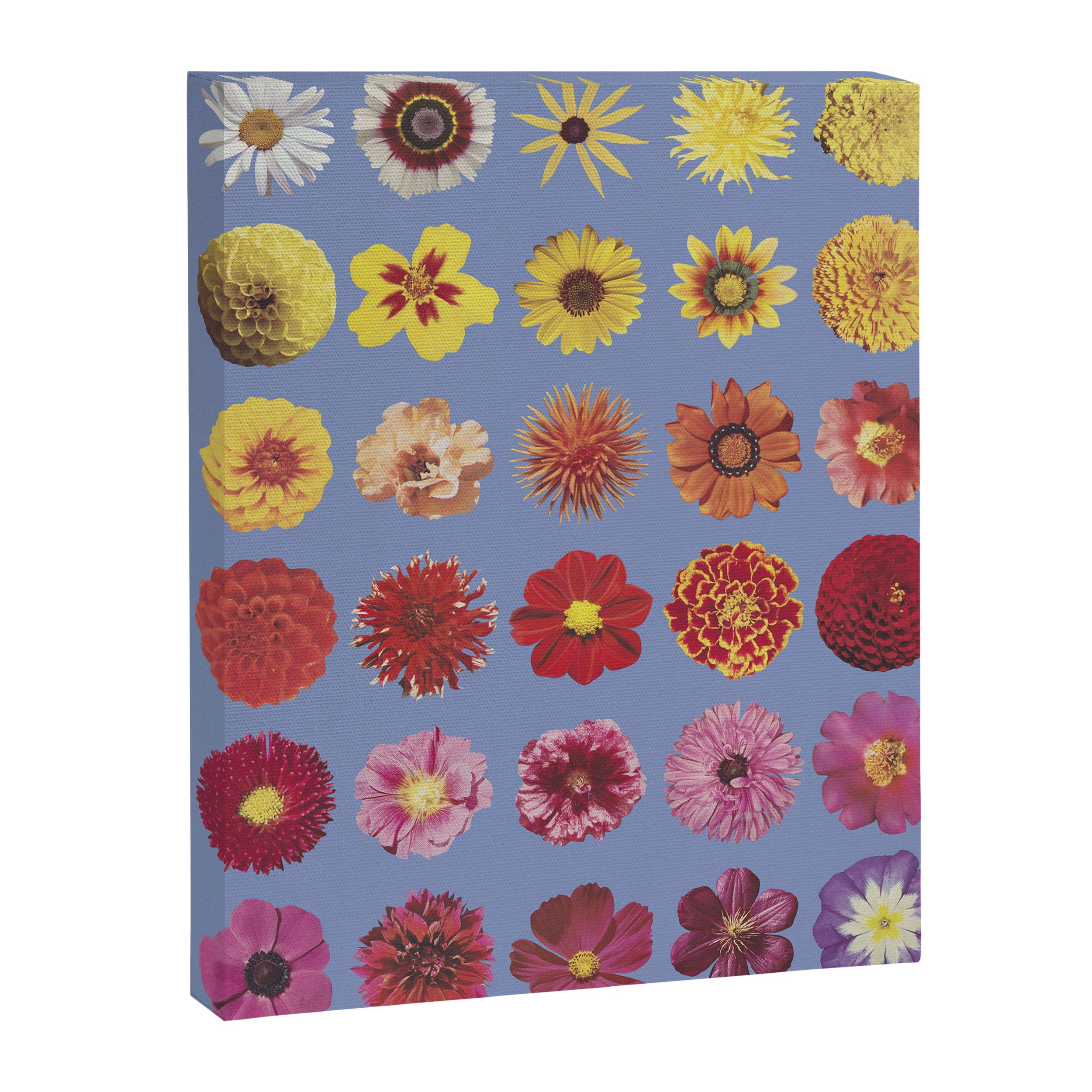 Floral Palette / Blue Background Canvas Print Gallery Image 6