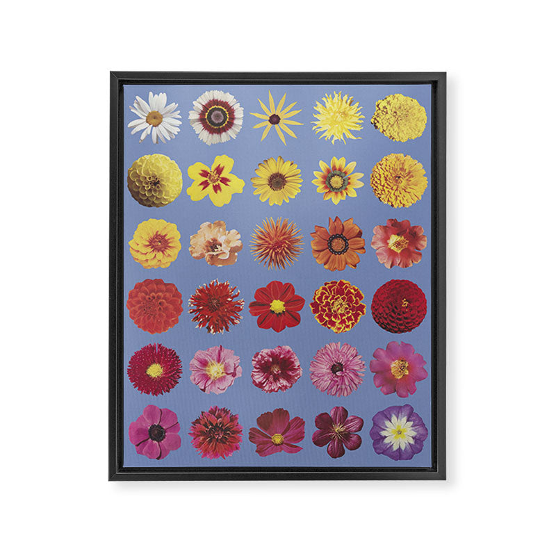 Floral Palette / Blue Background Framed Canvas Print Gallery Image 6