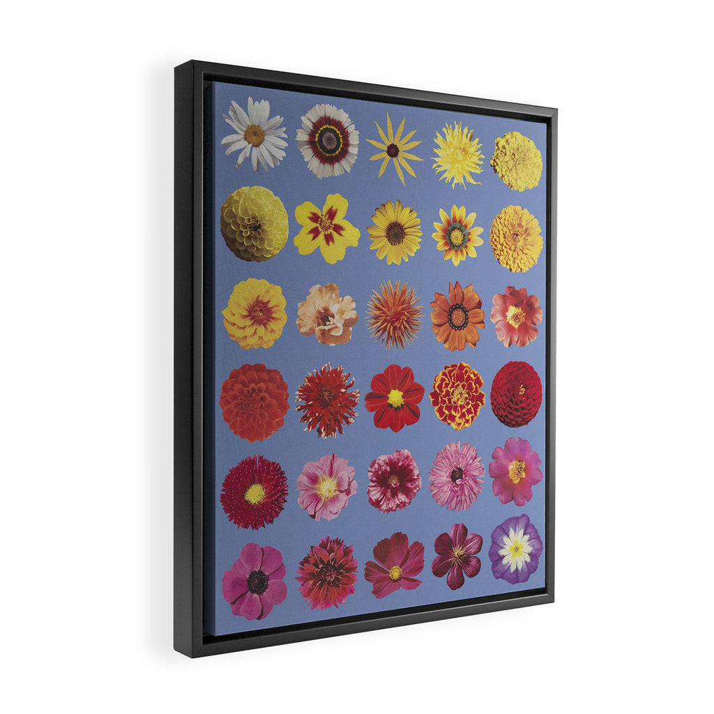 Floral Palette / Blue Background Framed Canvas Print Gallery Image 2