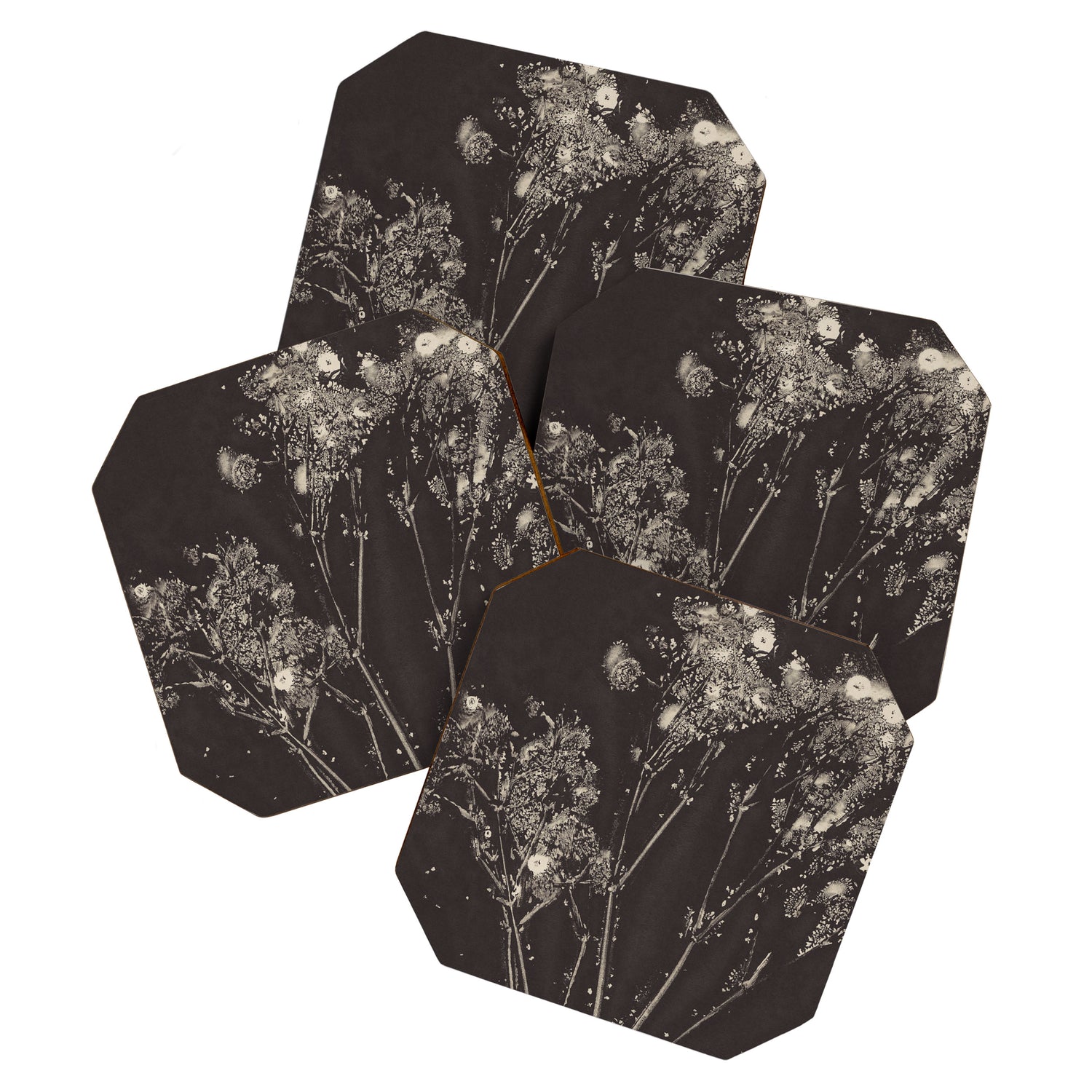 Floral Whispers Coaster Gallery Image 1